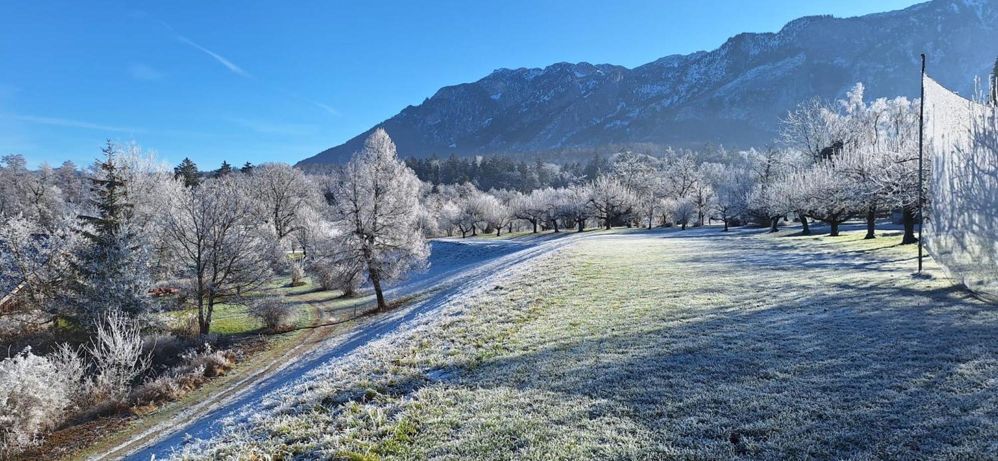 Schlossberghof Marzoll Bad Reichenhall Exterior photo